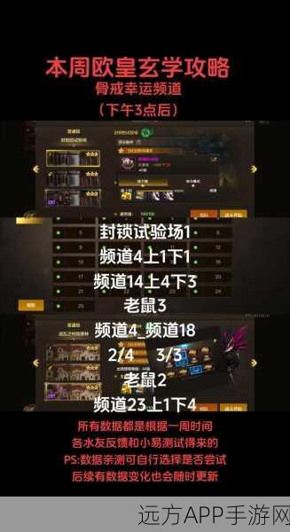DNF手游婚房装饰攻略,揭秘满属性心意点需求与高效获取途径