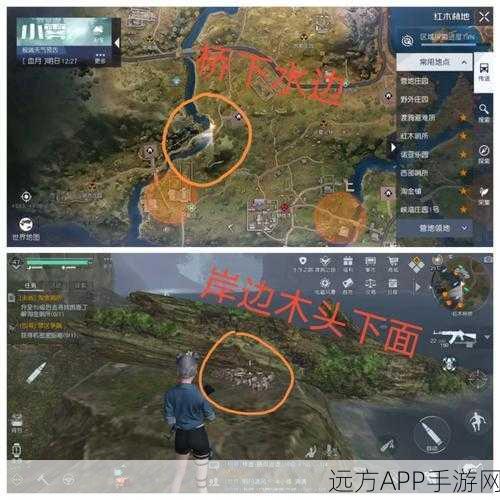 手游宝藏揭秘,黎明觉醒平原藏宝图全攻略,解锁稀有奖励秘籍