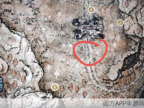 艾尔登法环全攻略，解锁地图碎片，探险之旅不再迷茫