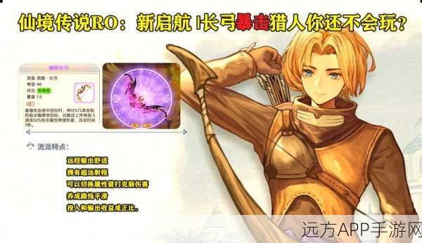 仙境传说RO手游深度解析，AD猎人与老鹰猎人实战对比及策略探讨