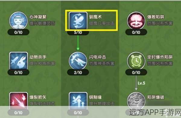 仙境传说RO手游深度解析,AD猎人与老鹰猎人实战对比及策略探讨