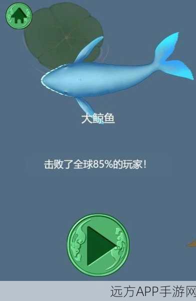热门召唤神龙小游戏蝌蚪召神龙下载指南及玩法详解