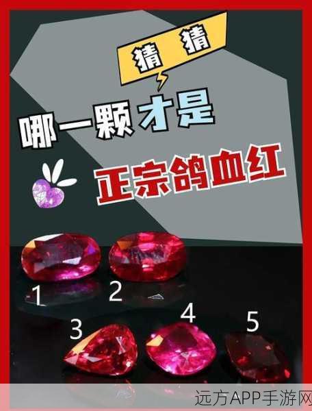 奇迹暖暖，鸽血宝石高效速刷全攻略，揭秘宝石获取绝密技巧