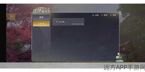 幻想神域,顶尖升级攻略,助你称霸服务器!