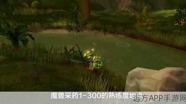 手游新视角,魔兽世界采药专家深度揭秘与竞技策略