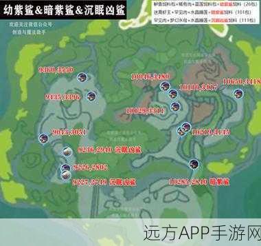 探秘创造与魔法，小鲨鱼捕捉全攻略，刷新点与时间大揭秘