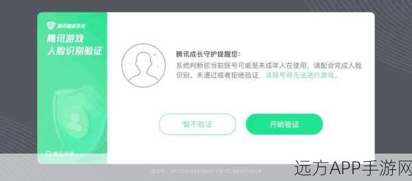 王者荣耀人脸识别系统深度解析，保障游戏安全，提升竞技公平性