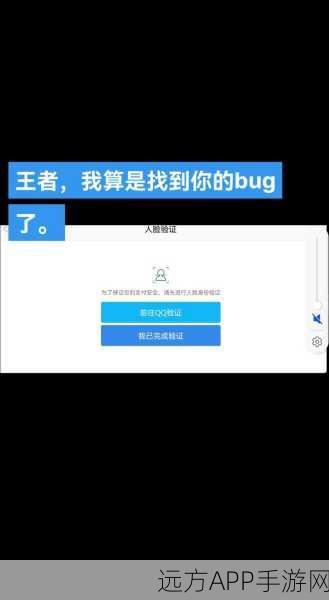 王者荣耀人脸识别系统深度解析,保障游戏安全,提升竞技公平性
