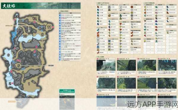 怪物猎人物语1终极攻略，揭秘怪鸟上位材料高效速刷秘籍