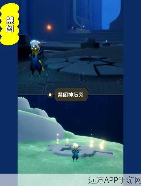 光遇Sky雨林空地冥想地点全揭秘,探索神秘冥想圣境