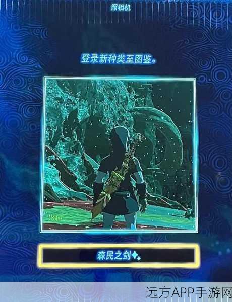 塞尔达传说,揭秘古代零件的神秘用途与获取攻略