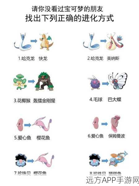 宝可梦大探险,揭秘进化系统的奇妙作用与策略