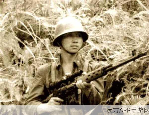 少女前线63式步枪实战评测,精准打击与高效支援,战场新星是否值得你纳入麾下?