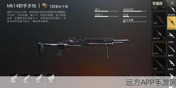 少女前线63式步枪实战评测,精准打击与高效支援,战场新星是否值得你纳入麾下?