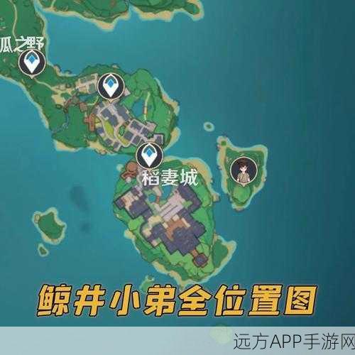 探秘原神，鲸井小弟全位置攻略与趣味挑战详解