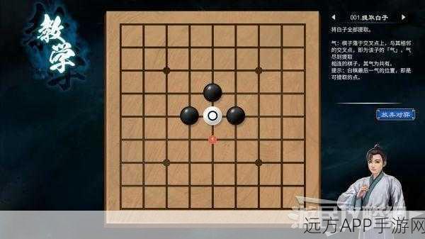 天命奇御2深度攻略,盲女任务全解析与技巧揭秘