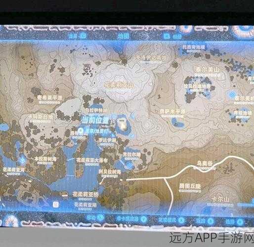 塞尔达传说织梦岛，揭秘神秘海螺全收集攻略，解锁隐藏宝藏！