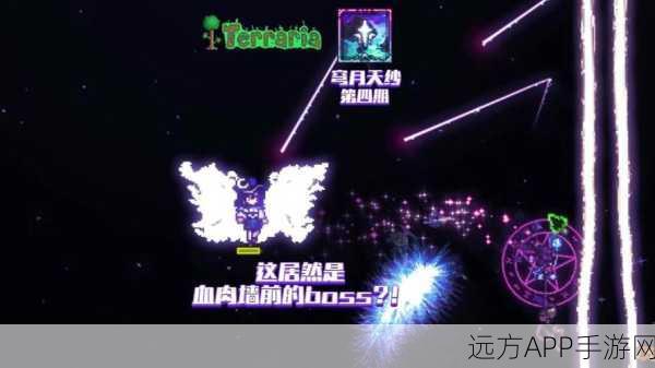 泰拉瑞亚,蜘蛛法杖与皇后蜘蛛法杖终极对决,谁才是魔法之巅?
