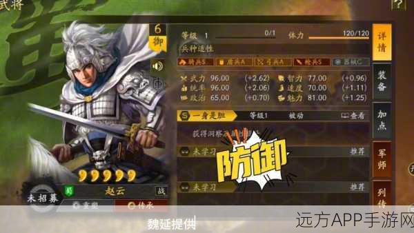 赵云开荒新解，三国志战略版高效战法搭配与实战攻略