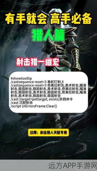 魔兽世界手游化新探索，猎人法夜玩法深度攻略与实战技巧