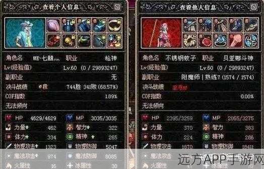 DNF60版本怀旧风潮，揭秘顶级宠物装备，打造无敌战斗组合！