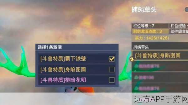 妄想山海，金刚鹦鹉全面评测，解锁宠物战斗新高度！