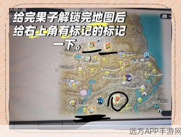 宝可梦传说阿尔宙斯，高效经验值速刷技巧全揭秘