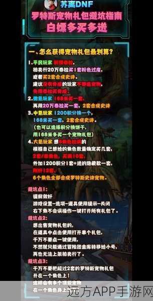 DNF回归指南，宠物系统深度解析，助你精准挑选最强伙伴！
