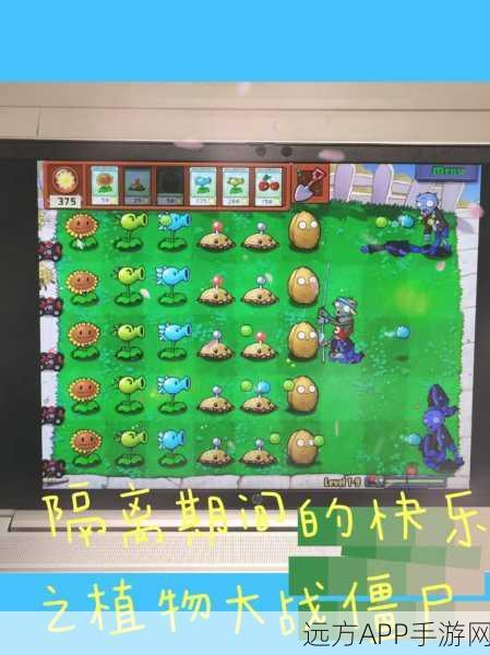 Steam版植物大战僵尸，免费与付费差异全解析
