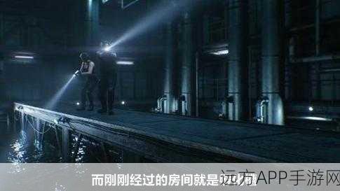 生化危机6,终章游戏深度剖析,揭秘最终战役震撼细节
