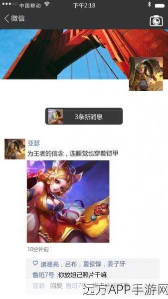 王者荣耀挂件行为揭秘,背后含义与赛场趣闻