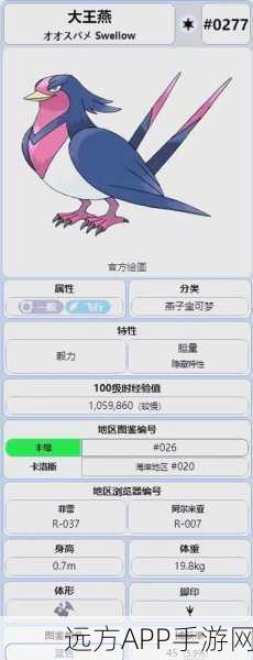 口袋妖怪复刻大赛，大王燕全属性深度剖析与图鉴精华指南