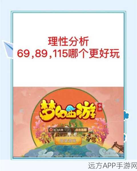 梦幻西游深度解析，89级，是停是冲？顶尖玩家策略揭秘