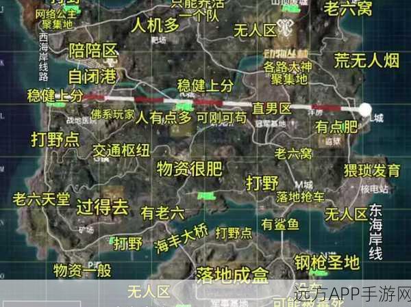 揭秘和平精英，海岛图与沙漠图，哪个地图策略运用更易快速上分？