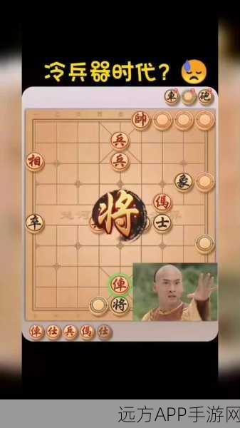 象棋界璀璨星辰，揭秘中国象棋大师荣耀征程