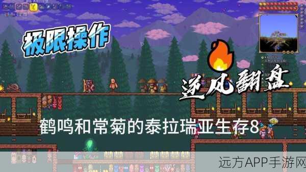 泰拉瑞亚生存攻略,解锁生命上限,成为探险王者