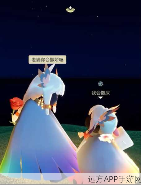 光遇恋爱秘籍，解锁邂逅与追逐的甜蜜技巧，助你游戏情缘升温