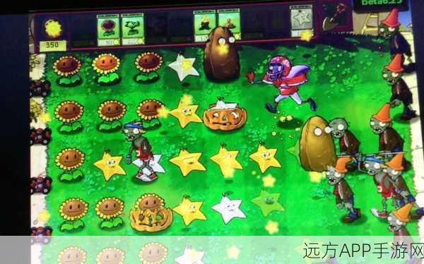 独家揭秘,PVZ贝塔版抢先体验,植物大战僵尸未公开测试版大揭秘
