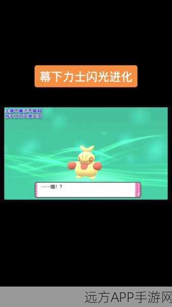 口袋妖怪复刻，幕下力士全属性揭秘与进化链深度剖析