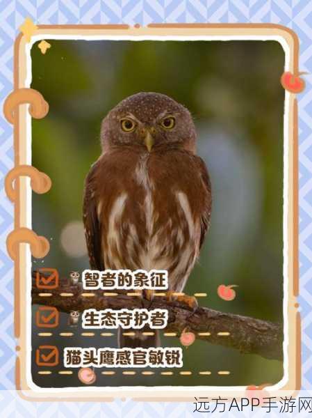 动物森友会猫头鹰到访揭秘,掌握神秘访客的出现规律