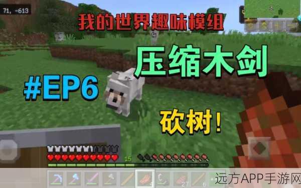 我的世界高玩揭秘,砍树大赛冠军技巧,高效砍树策略全解析