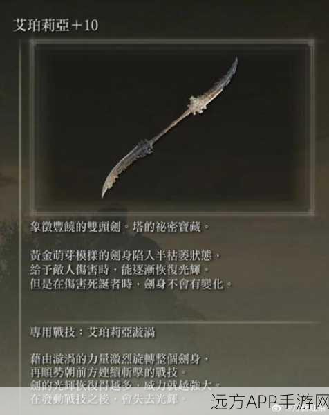 艾尔登法环战斗革新，双持武器深度攻略，解锁战斗新纪元