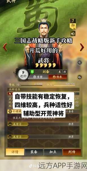 三国志战略版高手进阶，武将加点秘籍、资源管理妙法与防浪费全攻略