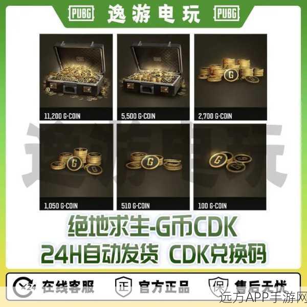 绝地求生刺激战场，CDKey兑换终极指南，珍稀道具一网打尽