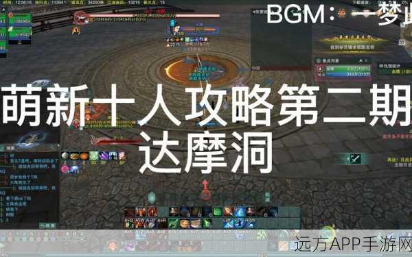 剑网3达摩洞声望速升全攻略，独家揭秘高效提升秘籍，玩家实测好评如潮！