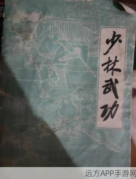 烟雨江湖少林寺秘籍精选指南，新手必读，秘籍抉择不再迷茫
