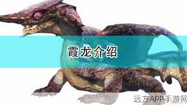 霞龙之魂震撼登场,怪物猎人崛起霞龙专属技能全揭秘