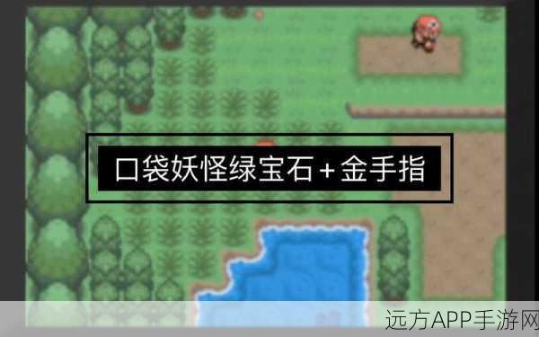 口袋妖怪光之魄，全面揭秘金手指代码与游戏攻略