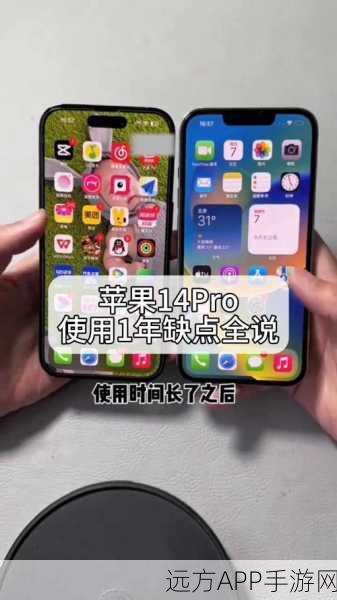 苹果14 Pro用户反映,和平精英游戏中频现闪屏,影响竞技体验