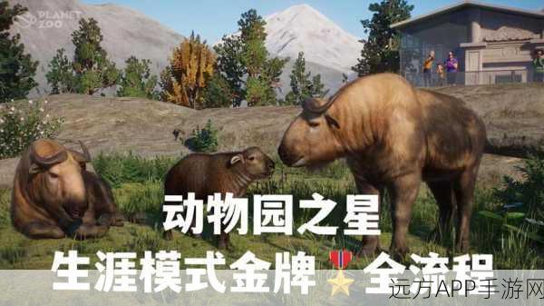 动物园之星生涯模式攻略，解锁第二关，打造顶尖研究中心秘籍